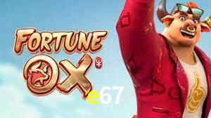 Experimente o Login Seguro Premium no e67